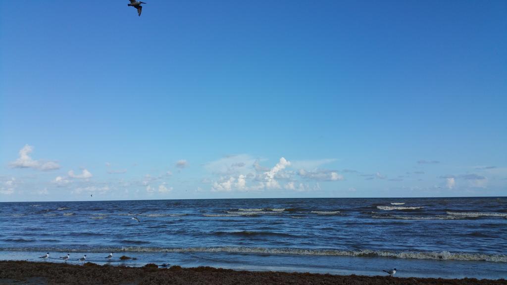 Private Beach -- Away From The Crowds - Ocean Views -Short Drive To Moody Gardens, Schlitter Bahn, Pleasure Pier ガルベストン エクステリア 写真