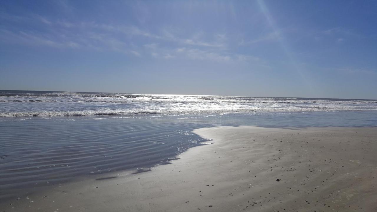 Private Beach -- Away From The Crowds - Ocean Views -Short Drive To Moody Gardens, Schlitter Bahn, Pleasure Pier ガルベストン エクステリア 写真